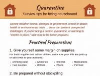 Resilient Expats LLC Quarantine